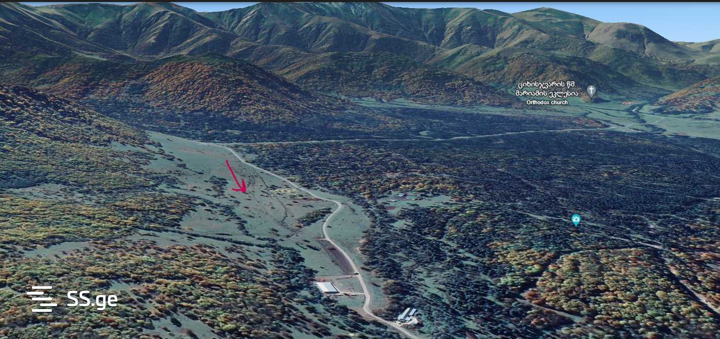 Land For Sale. Bakurianis Andeziti view 2