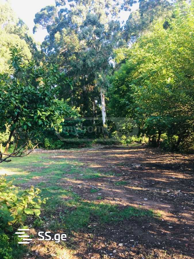 Land For Sale. Chaqvi view 3