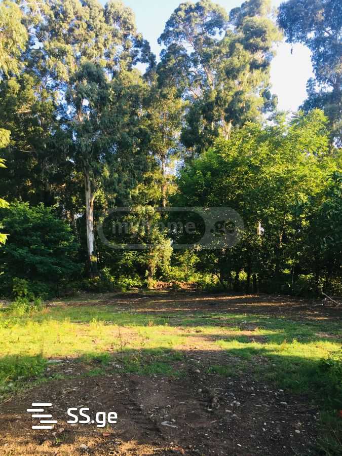 Land For Sale. Chaqvi view 1