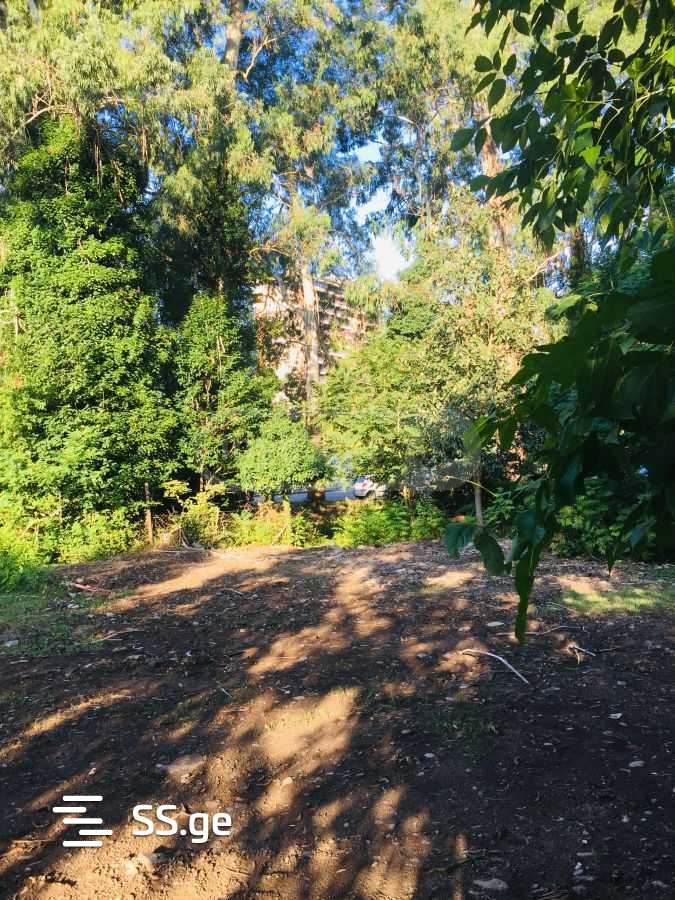 Land For Sale. Chaqvi view 2