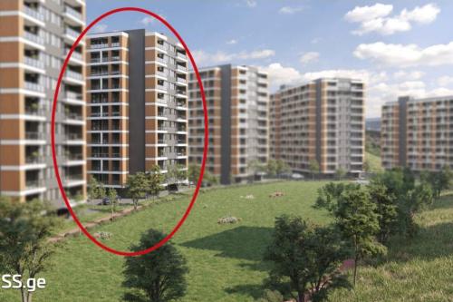 https://static.ss.ge/20240123/12_f7007bac-c016-4c1e-836c-84900fb1e9c9_Thumb.jpg