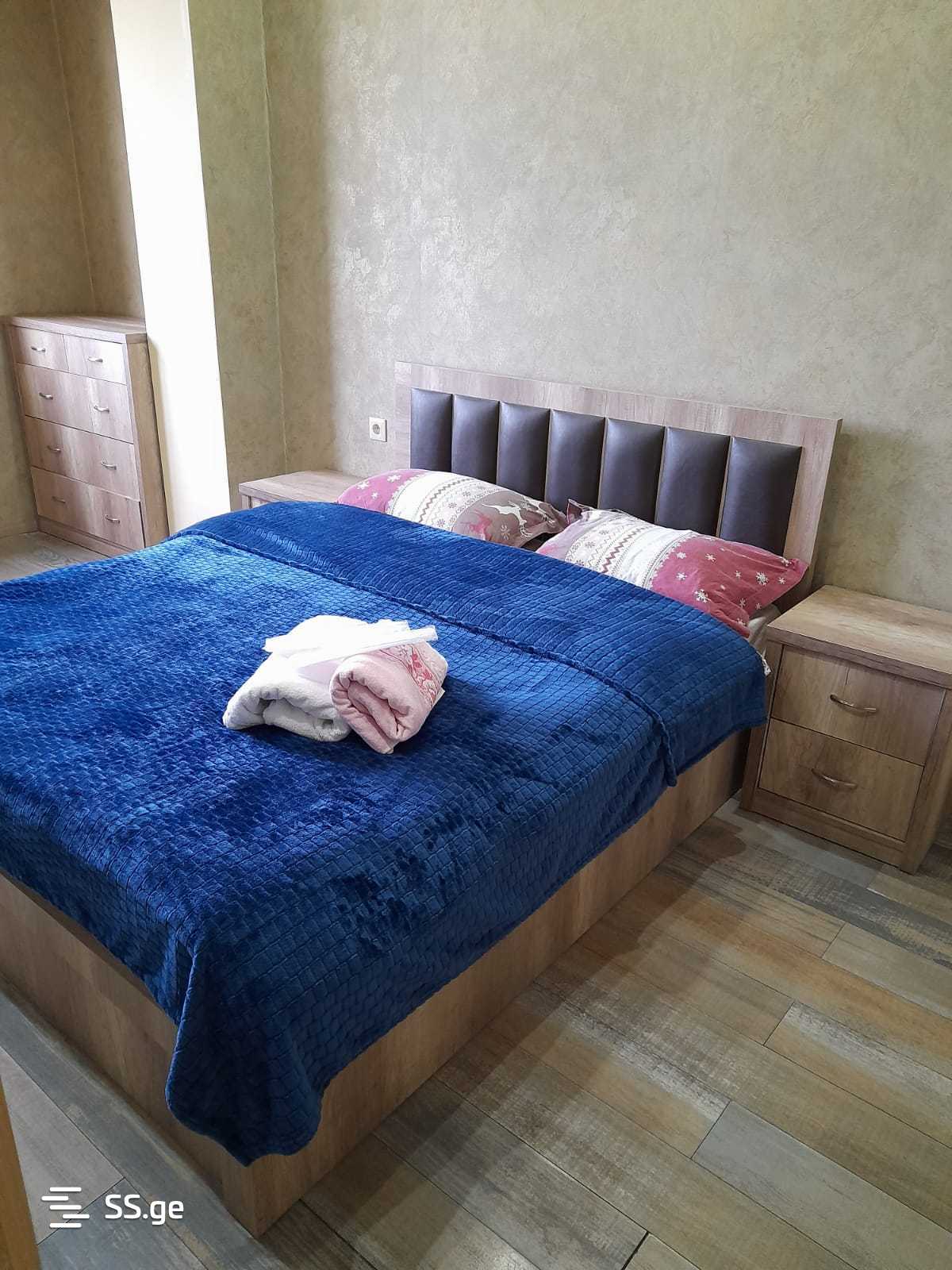 2 Room Flat Daily Rent. Nadzaladevi, 4 of 4