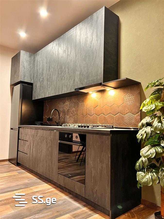 2 Room Flat For Rent. Nadzaladevi view 8