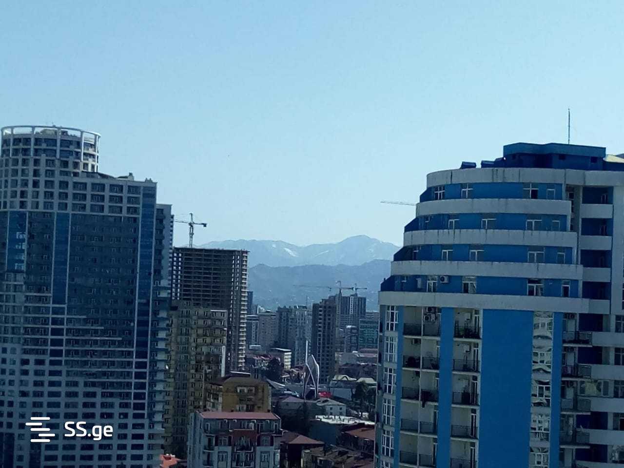 3 Room Flat For Rent. Batumi view 4