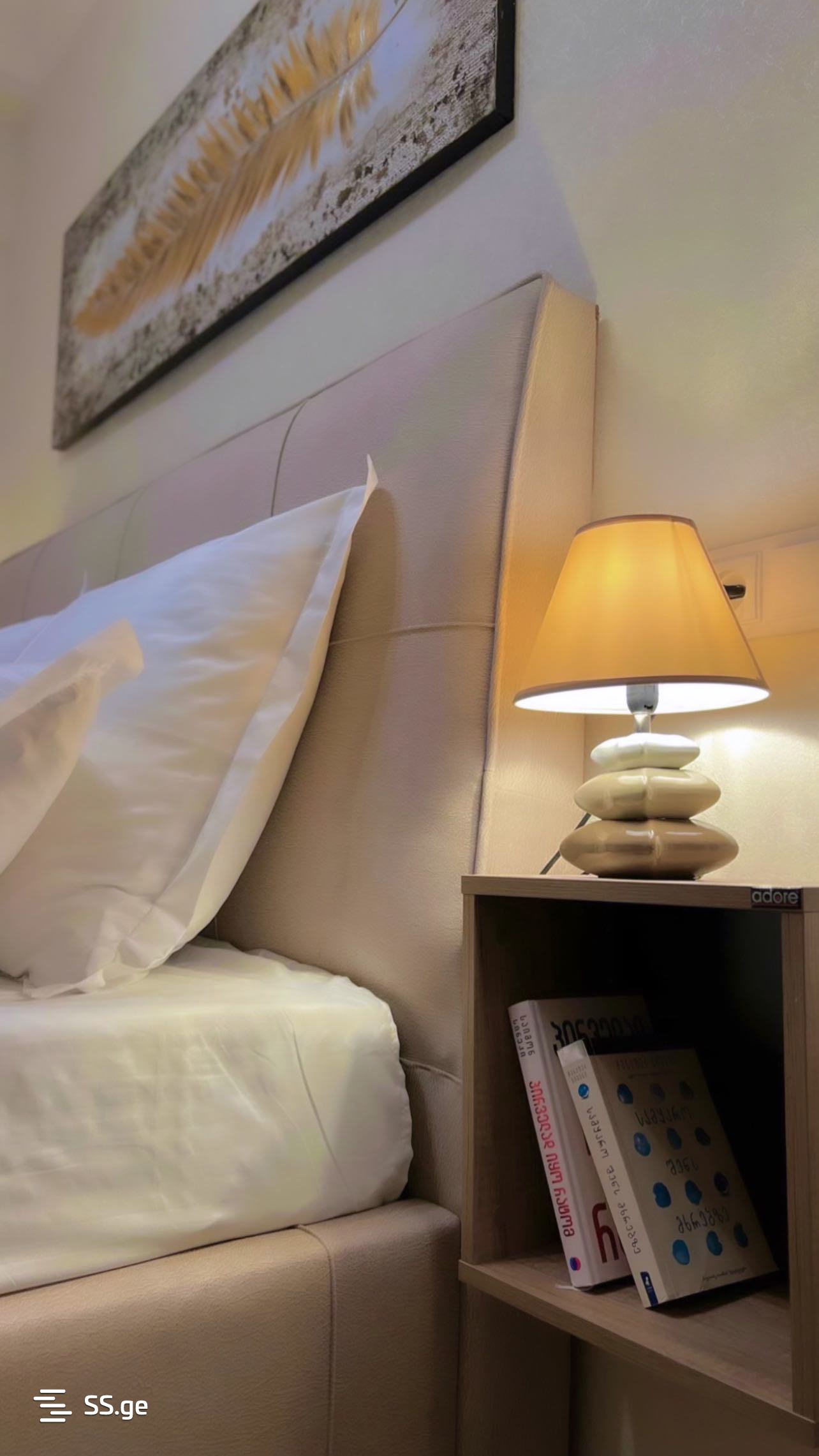 2 room Flat Daily rent. Digomi – pohled 2