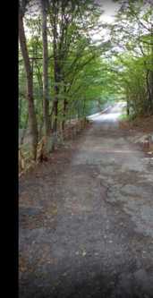 Land For Sale. Tskhvarichamia