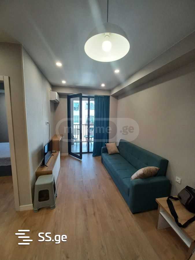 2 Room Flat For Rent. Didi Digomi view 2
