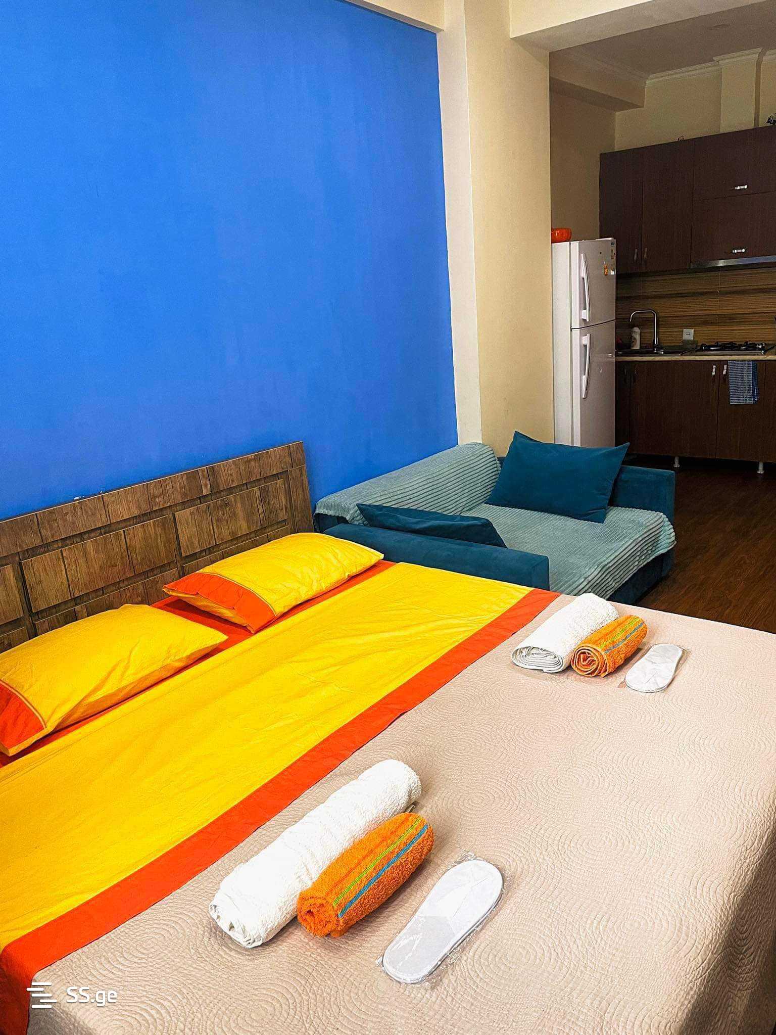 1 Room Flat Daily Rent. Didube view 7