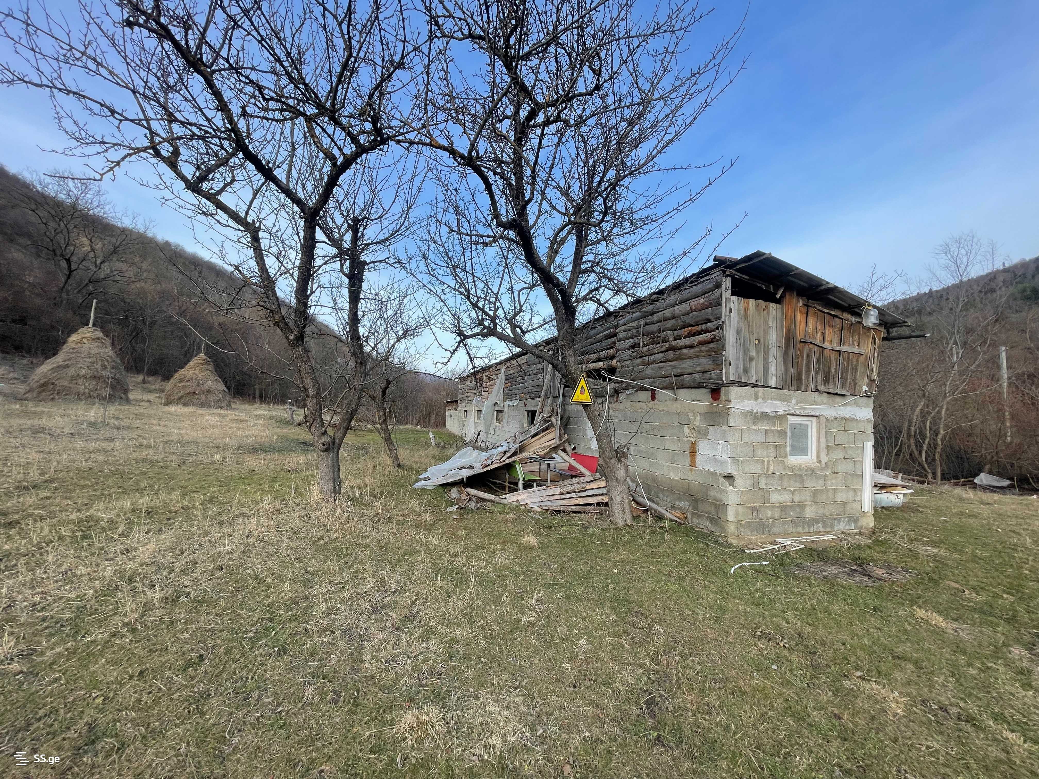 Store-Industrial Property For Sale. Gori, 1 of 4