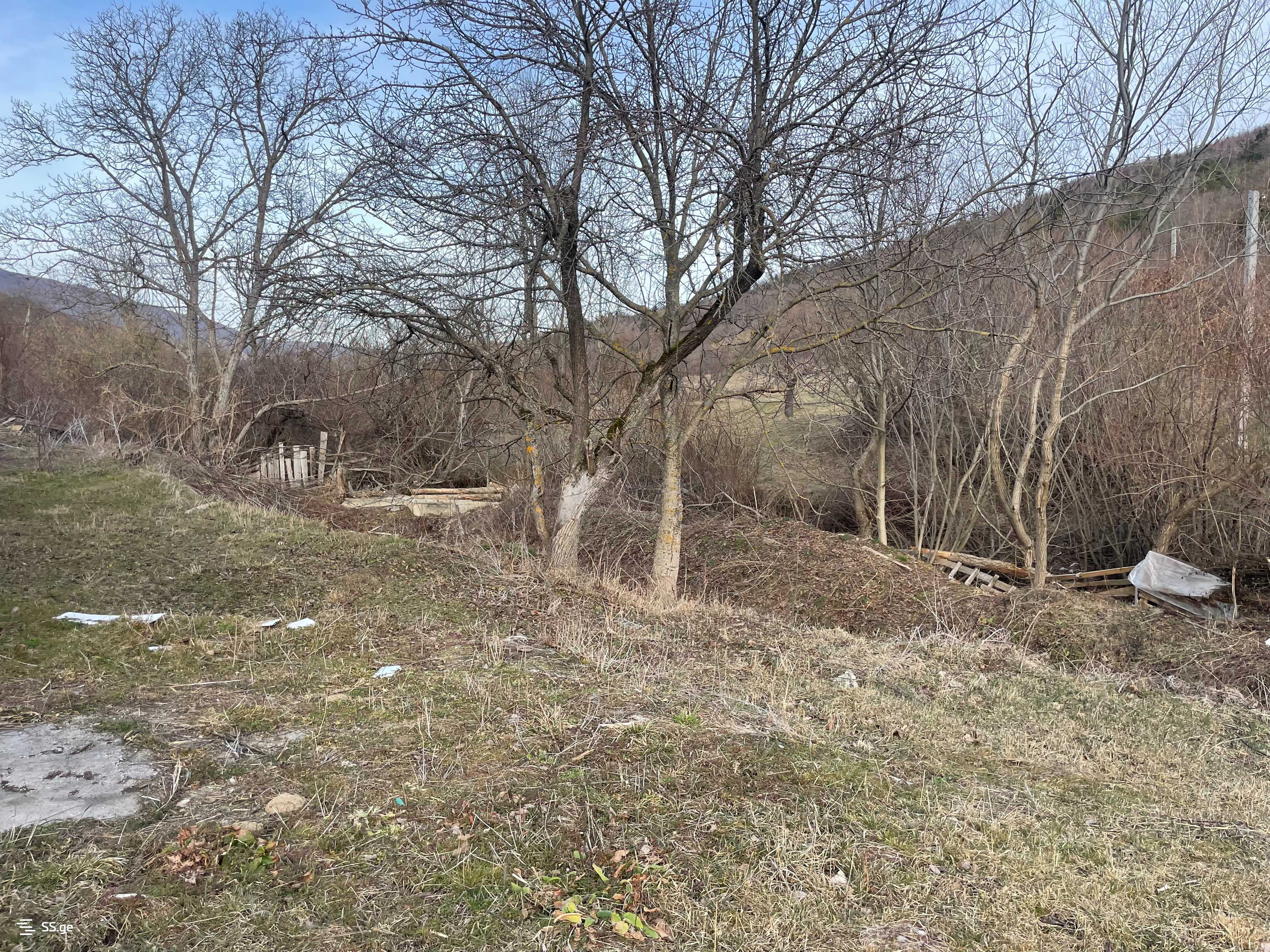Store-Industrial Property For Sale. Gori, 4 of 4