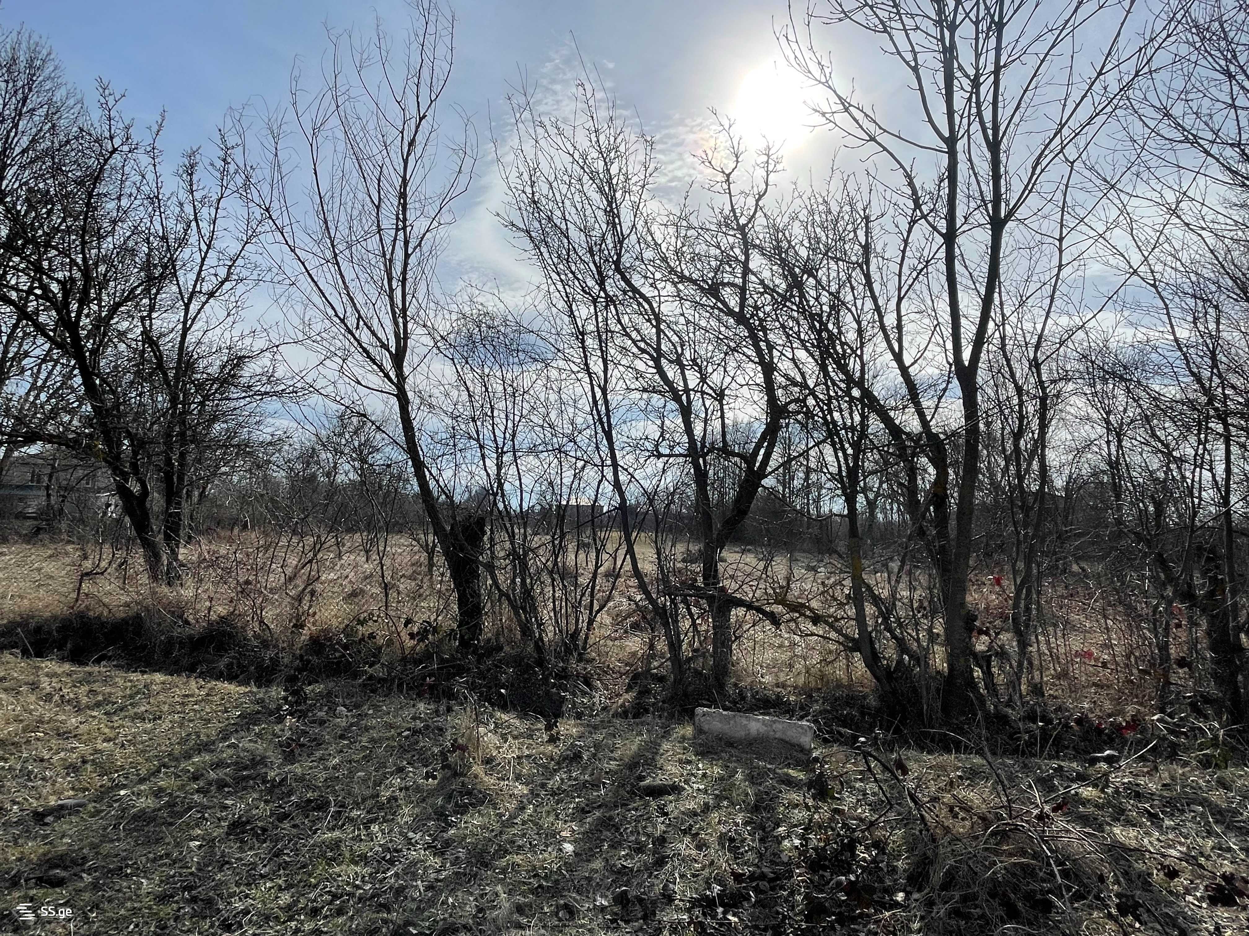 Land For Sale. Gori, 4 of 4