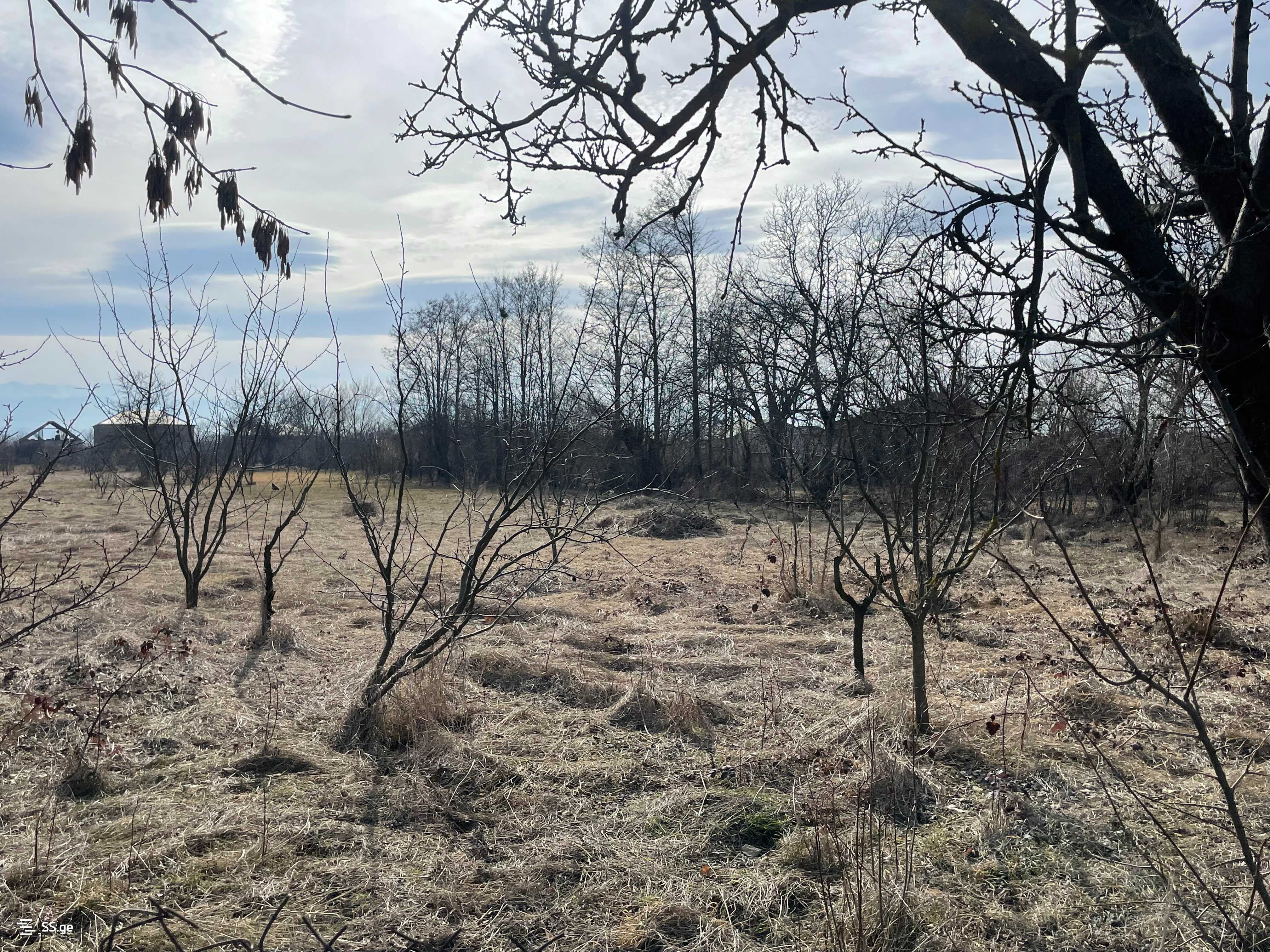 Land For Sale. Gori, 2 of 4