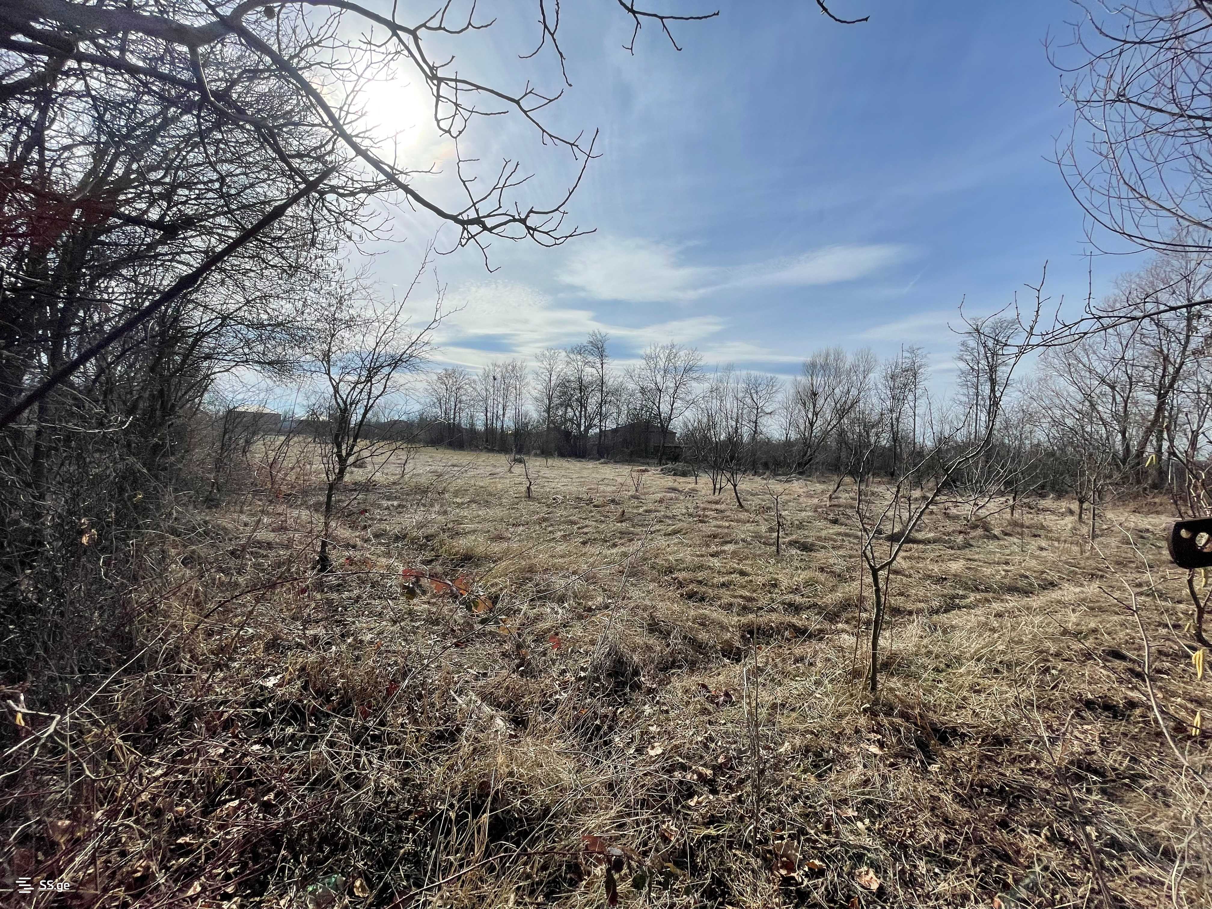 Land For Sale. Gori, 3 of 4