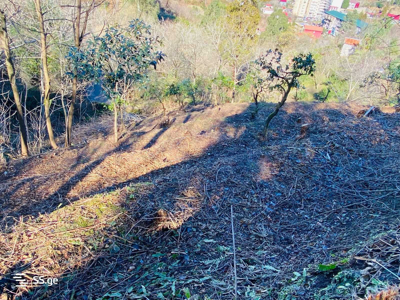 Land For Sale. Makhindjauri view 2