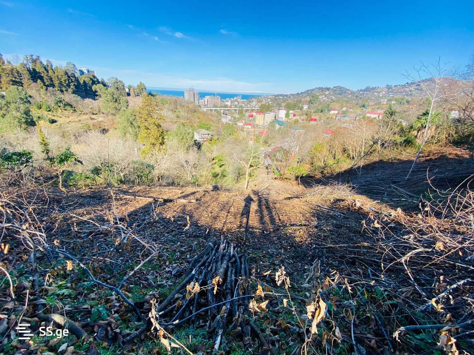 Land For Sale. Makhindjauri view 3