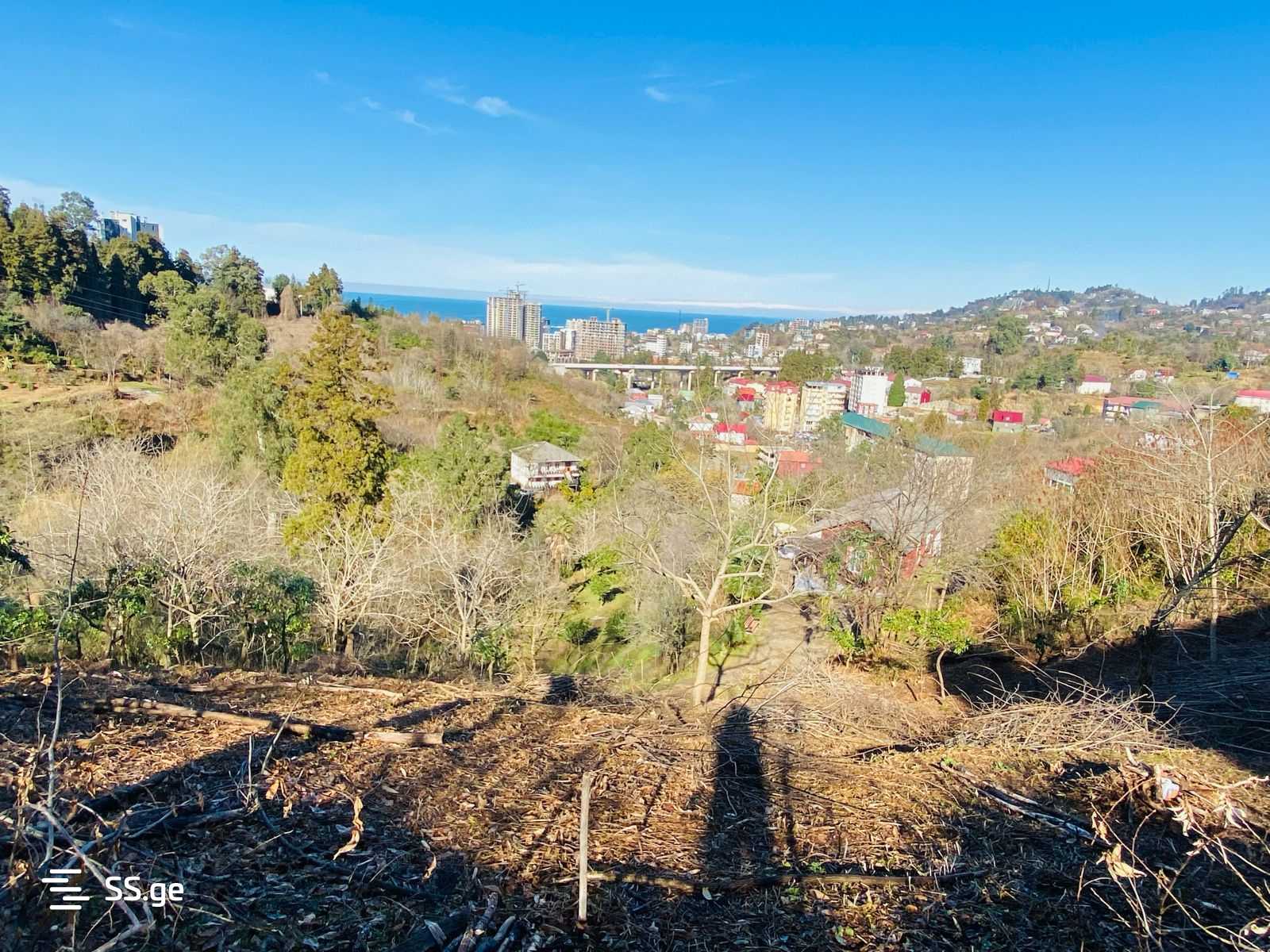 Land For Sale. Makhindjauri view 1