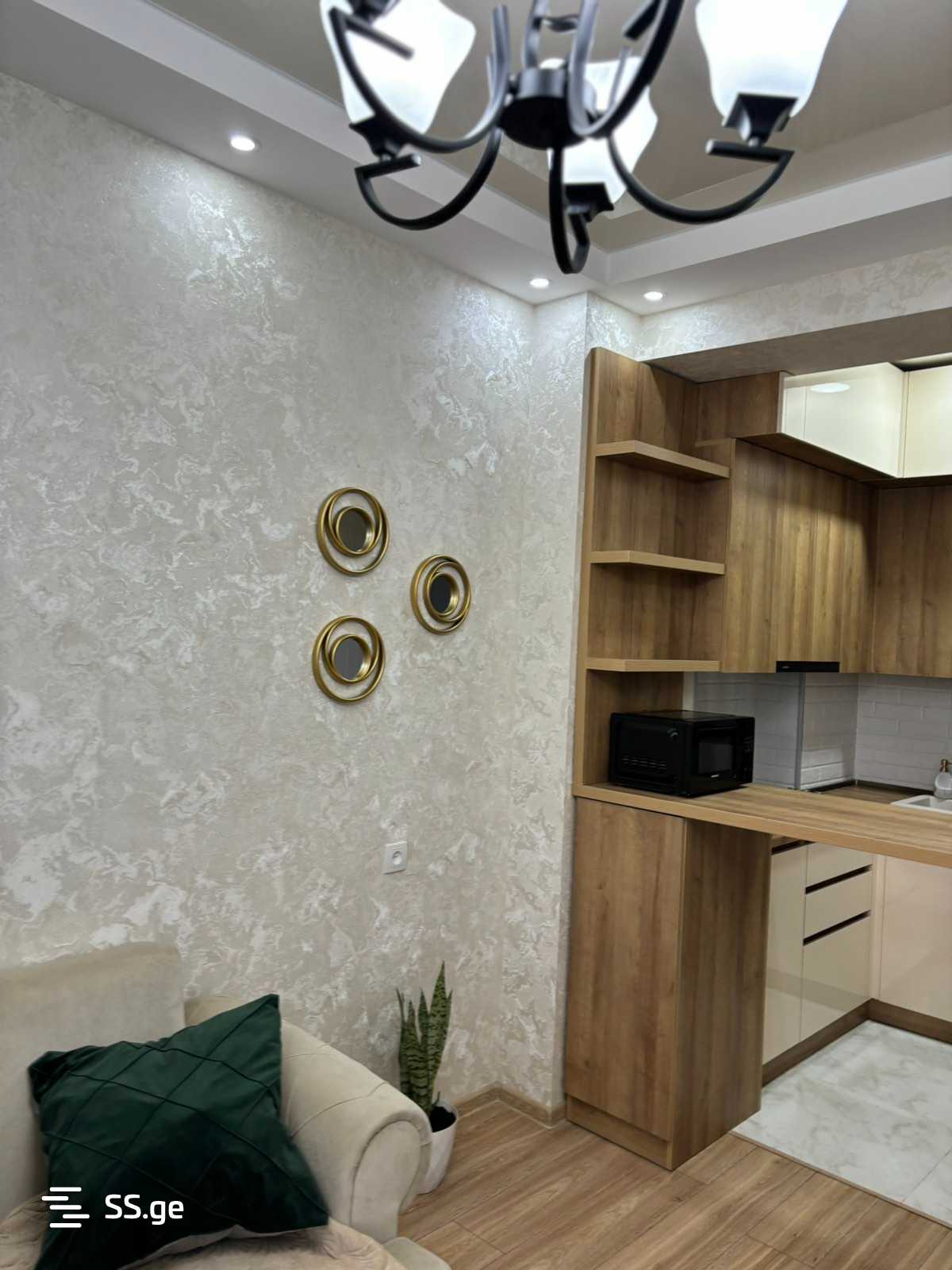 2 Room Flat For Rent. Didi Digomi view 10