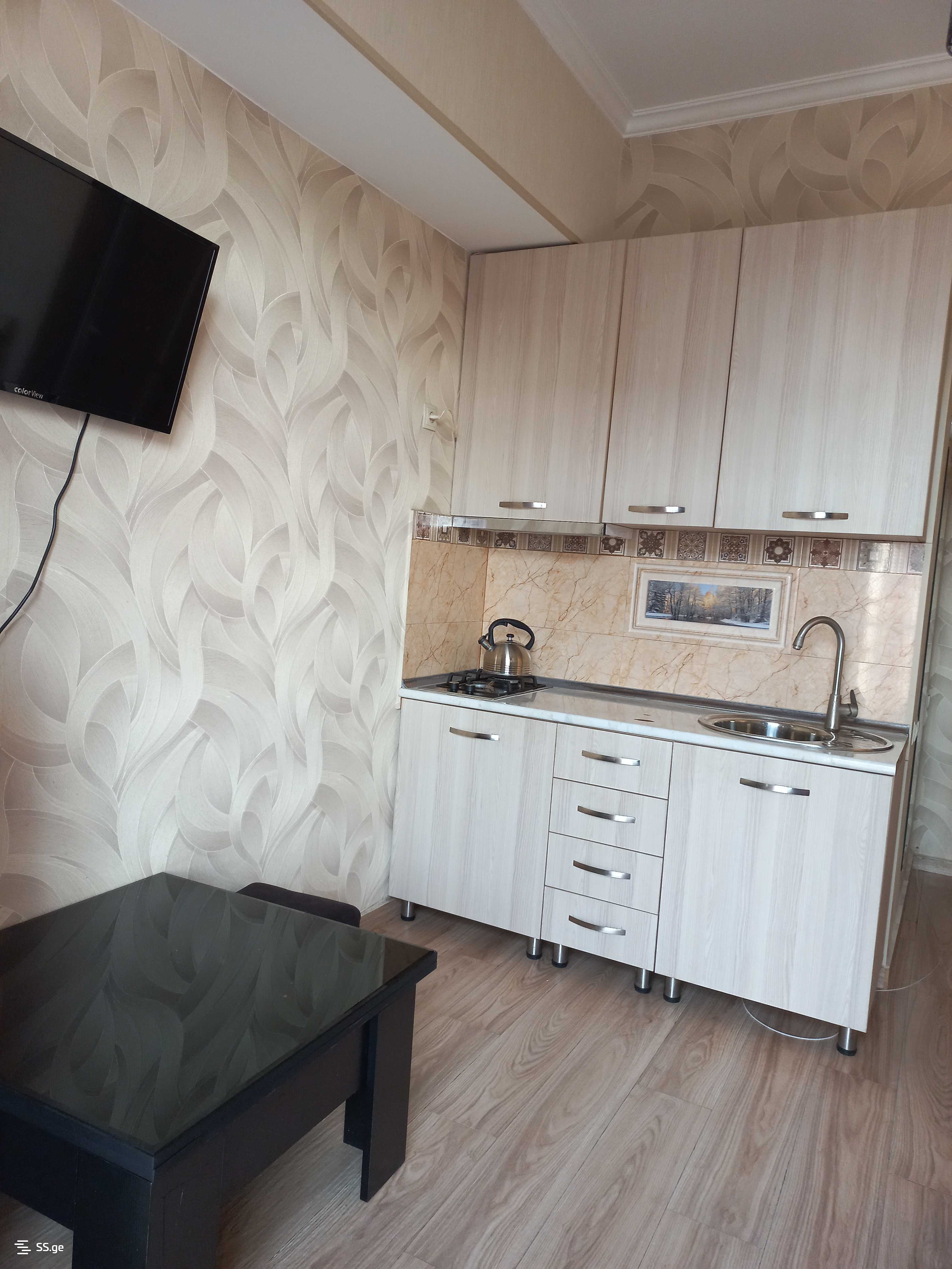 2 Room Flat Daily Rent. Didi Digomi view 4