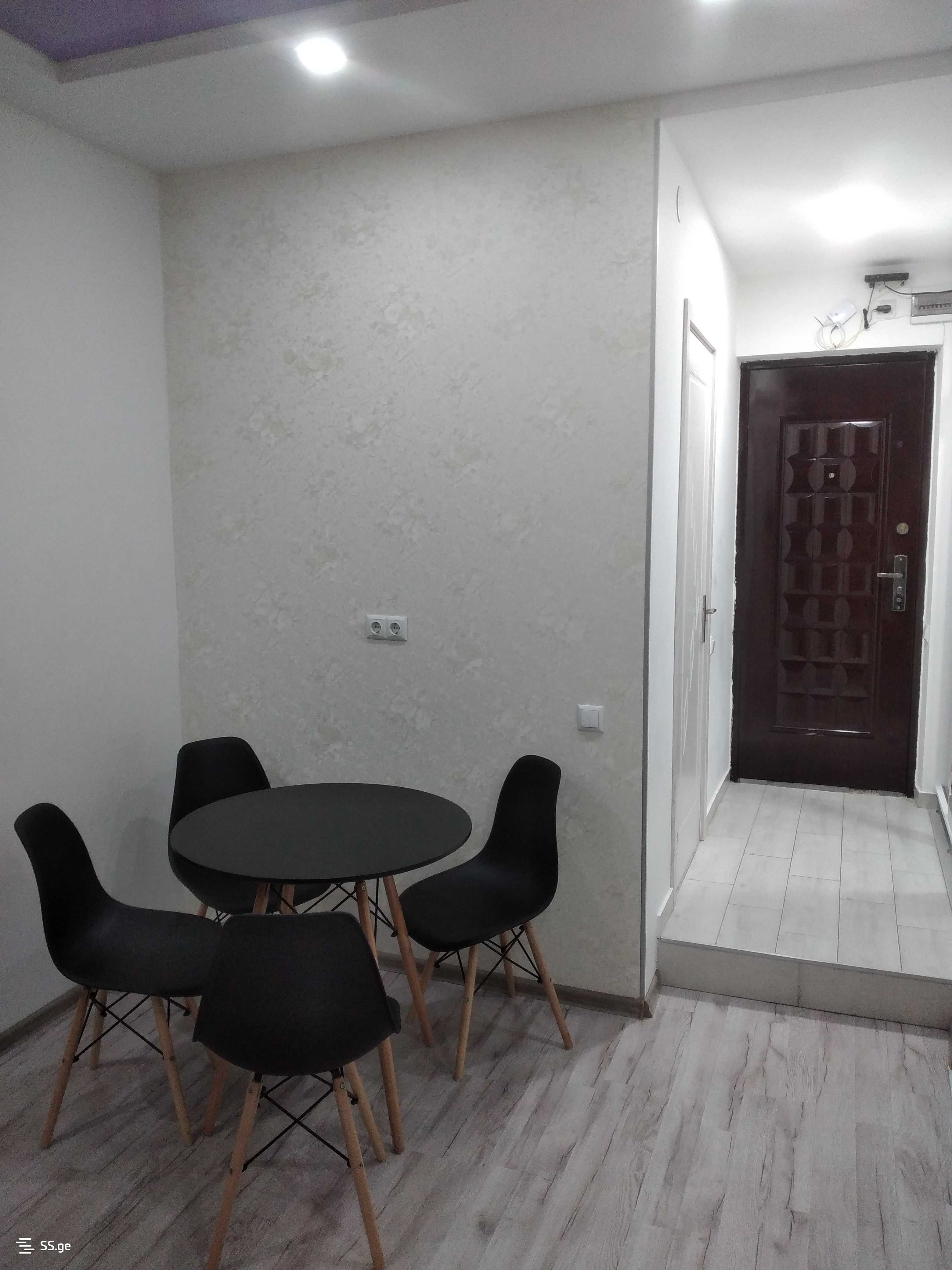 1 Room Flat Daily Rent. Batumi view 4