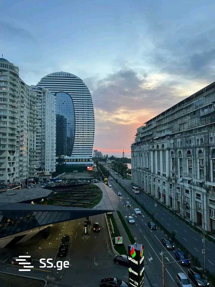 1 Room Flat Daily Rent. Batumi view 8