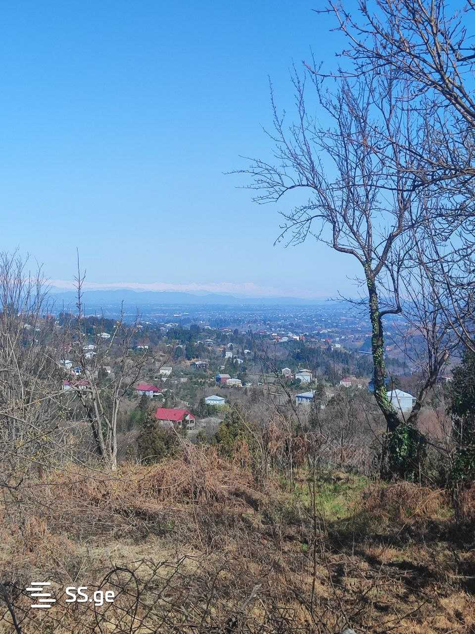 Land For Sale. Tsikhisdziri view 5