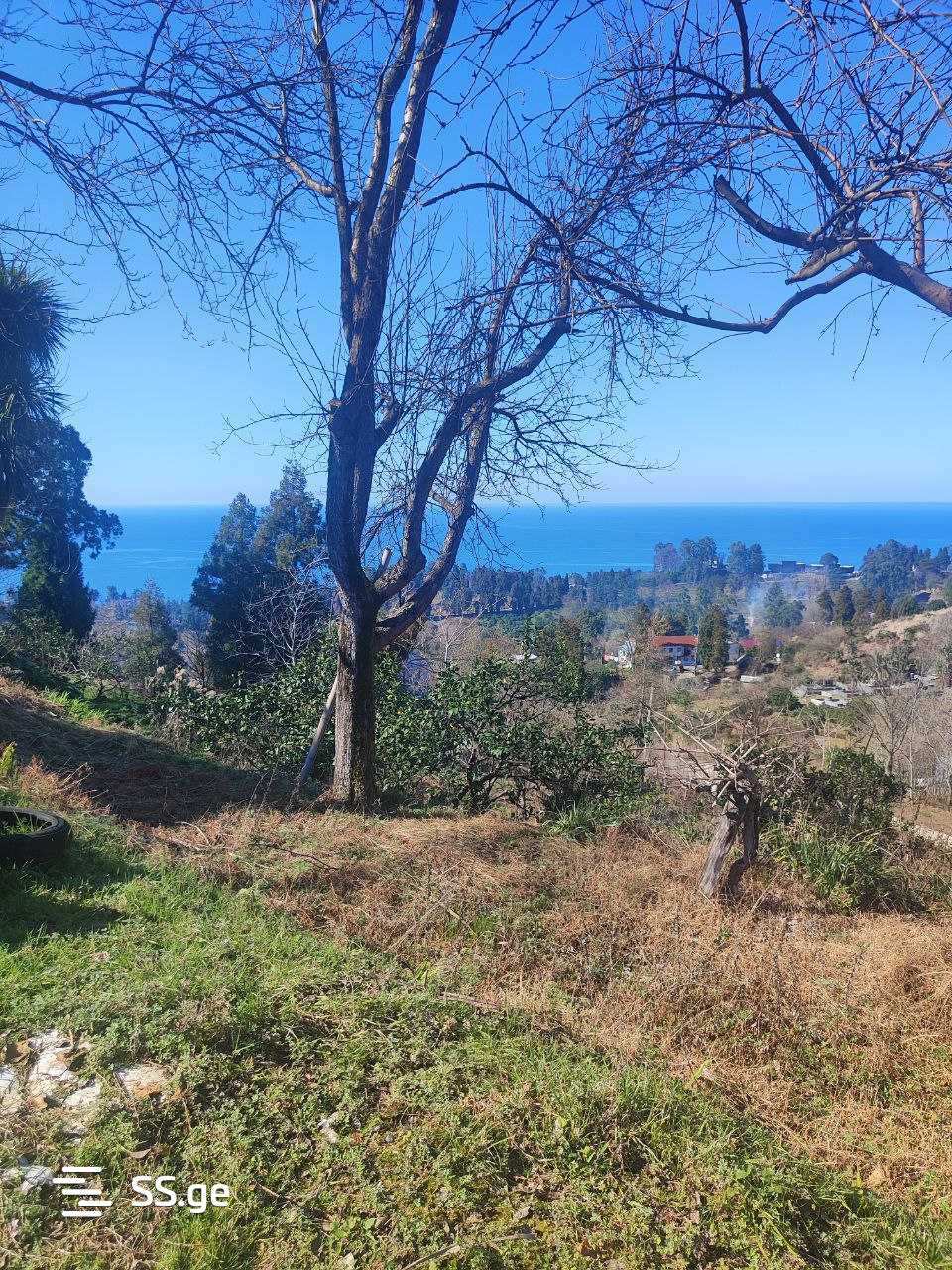 Land For Sale. Tsikhisdziri view 7
