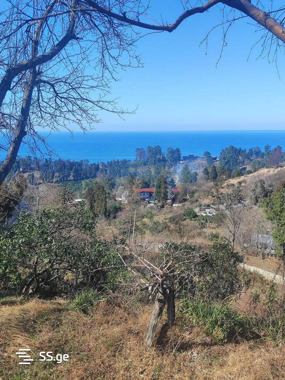 Land For Sale. Tsikhisdziri view 1