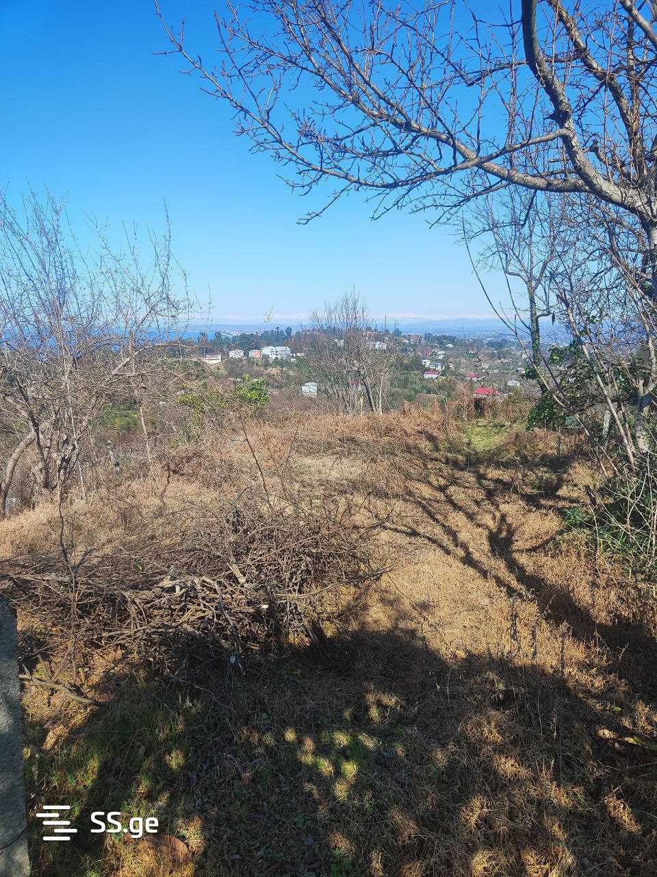 Land For Sale. Tsikhisdziri view 4