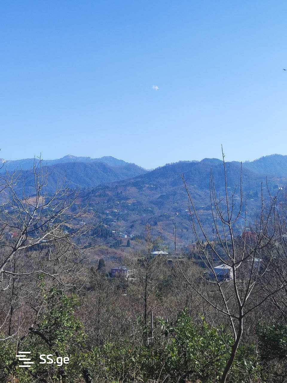 Land For Sale. Tsikhisdziri view 2