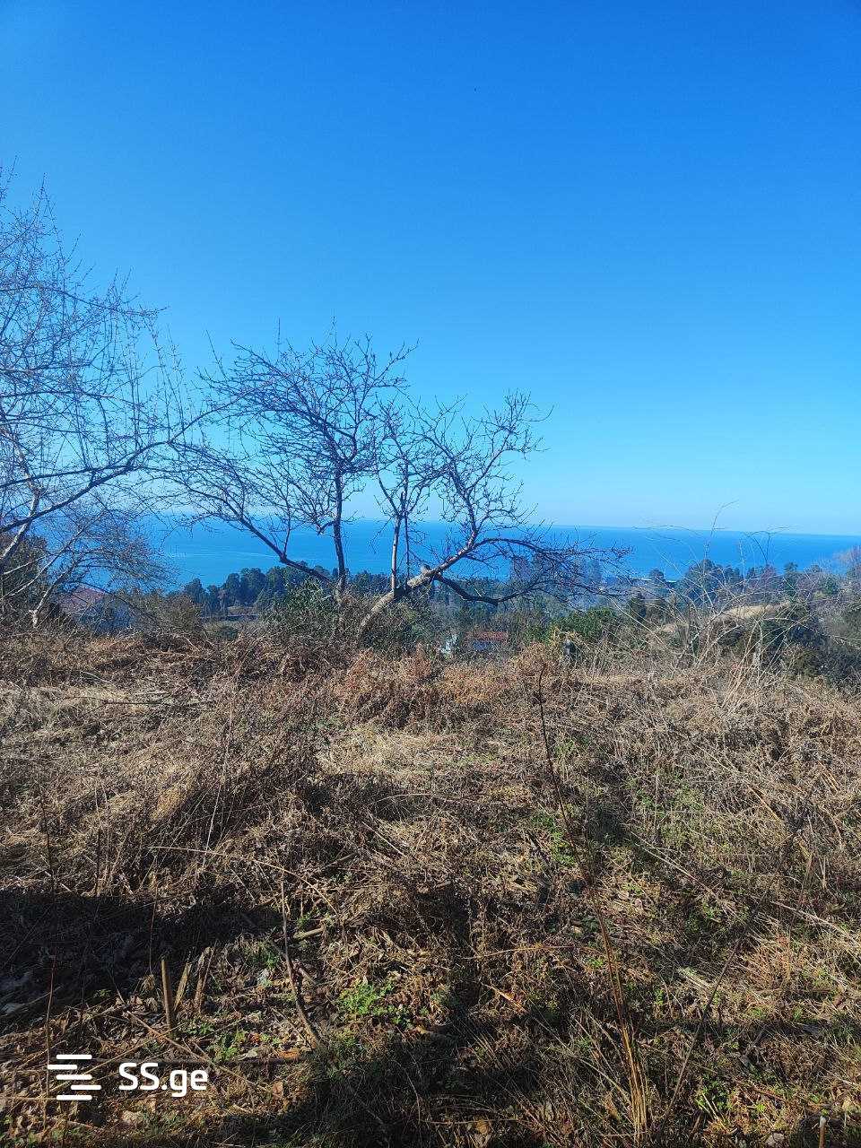 Land For Sale. Tsikhisdziri view 6
