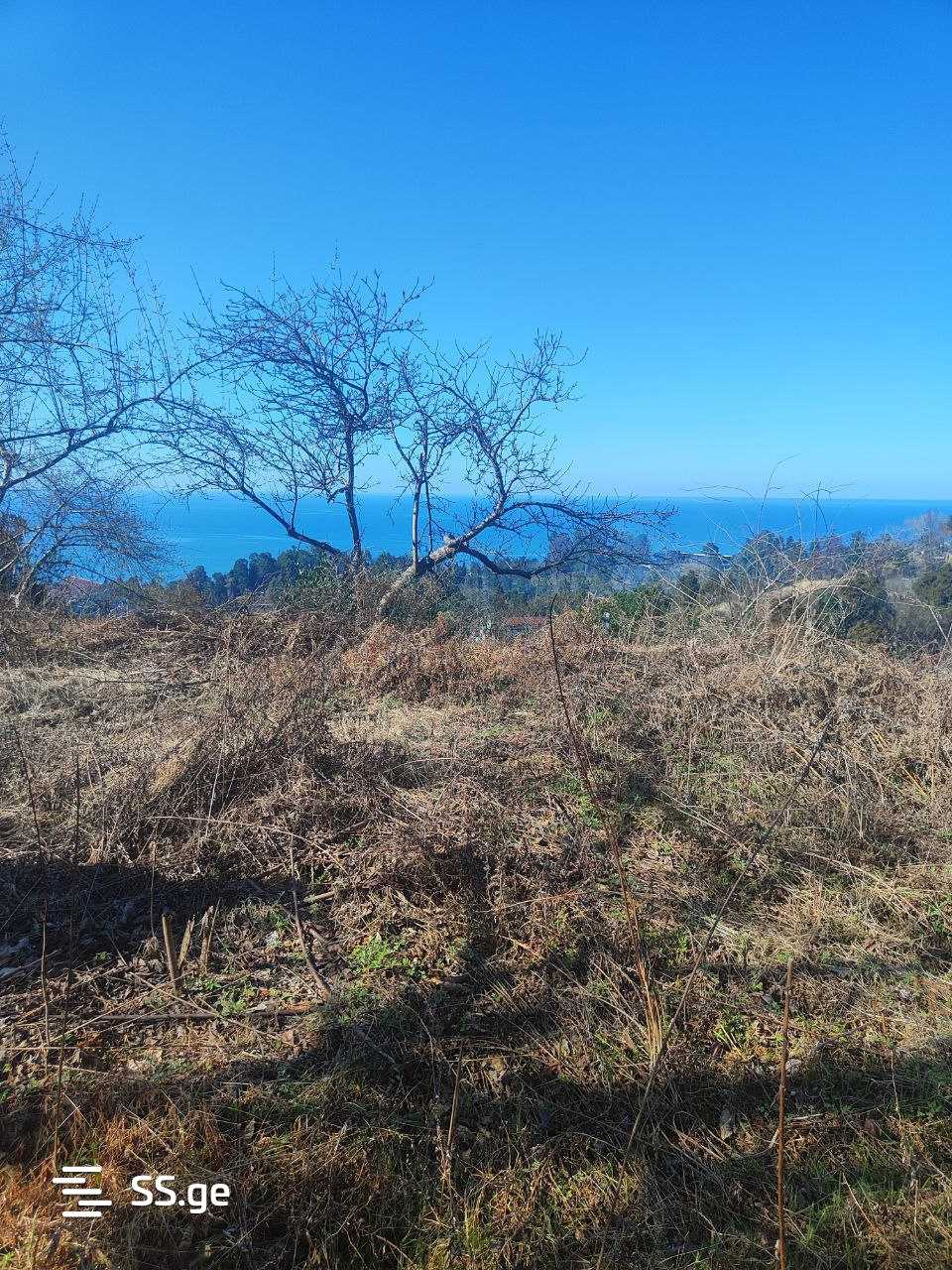 Land For Sale. Tsikhisdziri view 3