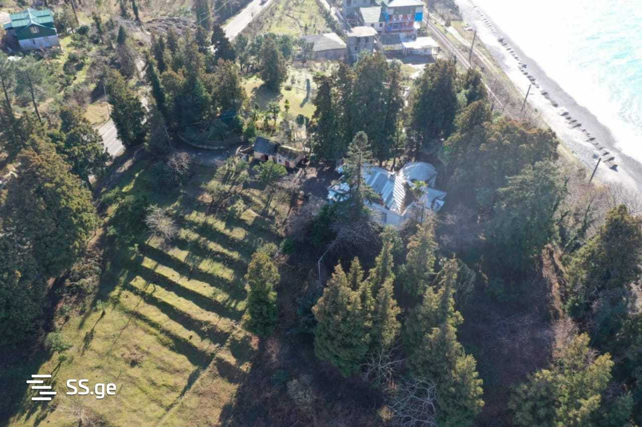 For Sale Ara Sasoplo-Sameurneo Land Plot Kobuletis Munitsipalitetshi view 18