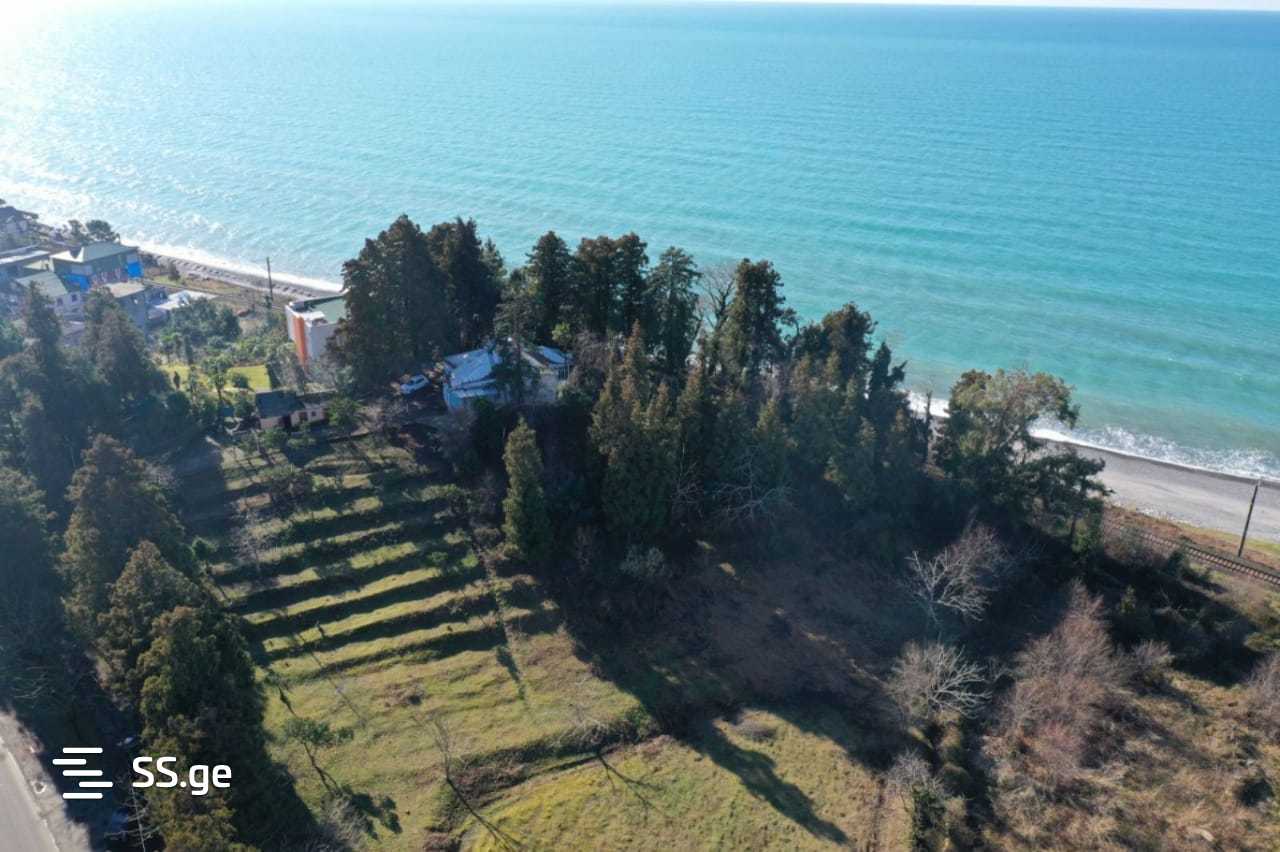 For Sale Ara Sasoplo-Sameurneo Land Plot Kobuletis Munitsipalitetshi view 16