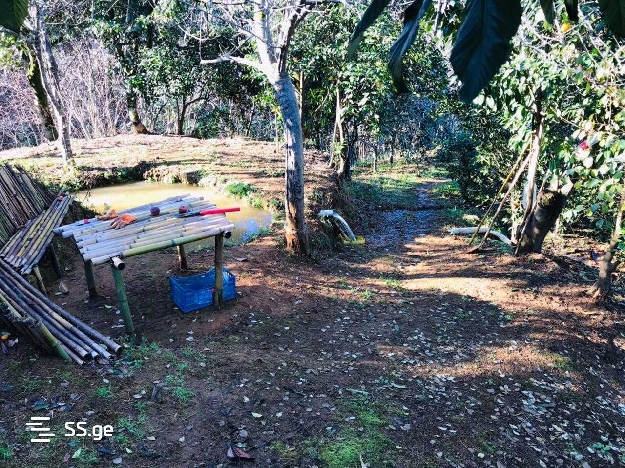 For Sale Ara Sasoplo-Sameurneo Land Plot Kobuletis Munitsipalitetshi view 8
