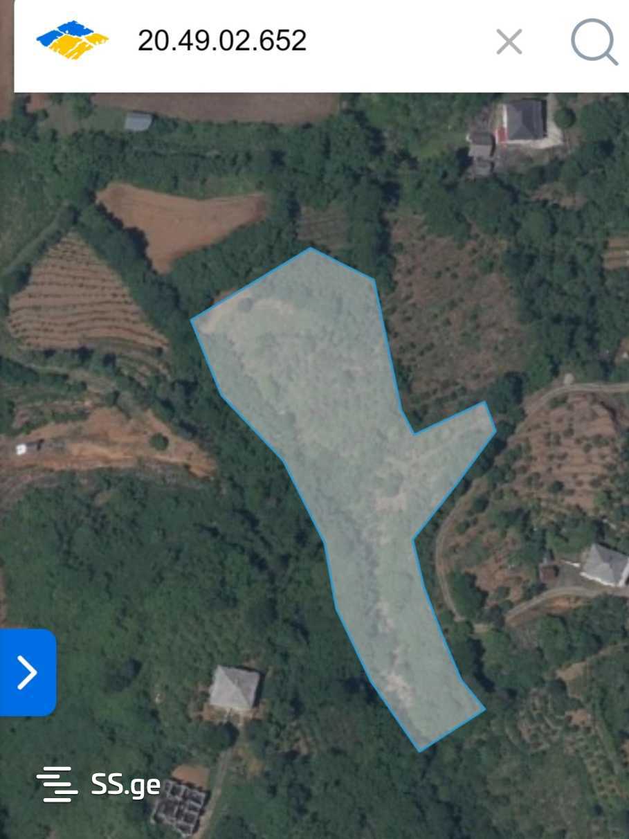 For Sale Ara Sasoplo-Sameurneo Land Plot Kobuletis Munitsipalitetshi view 6