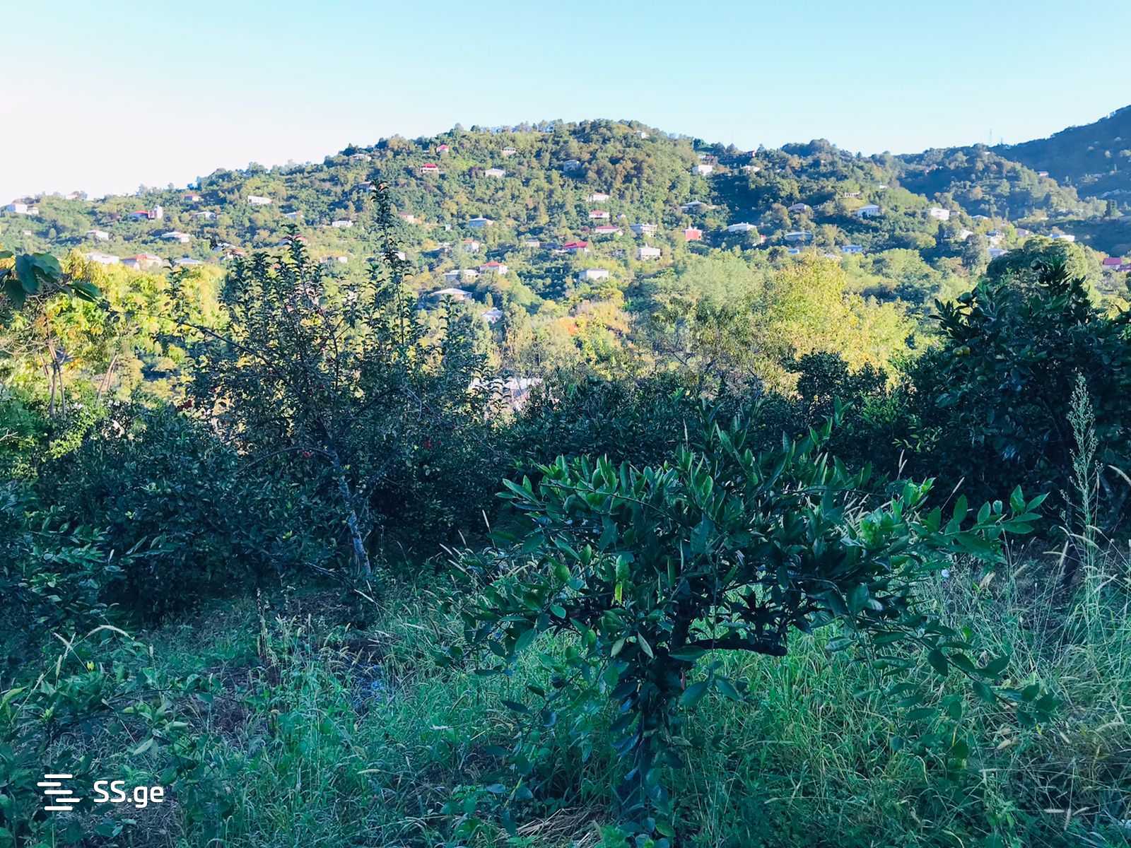 For Sale Ara Sasoplo-Sameurneo Land Plot Kobuletis Munitsipalitetshi view 5