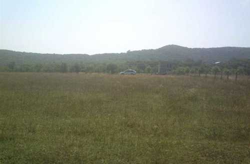 Land For Sale. Kiketi