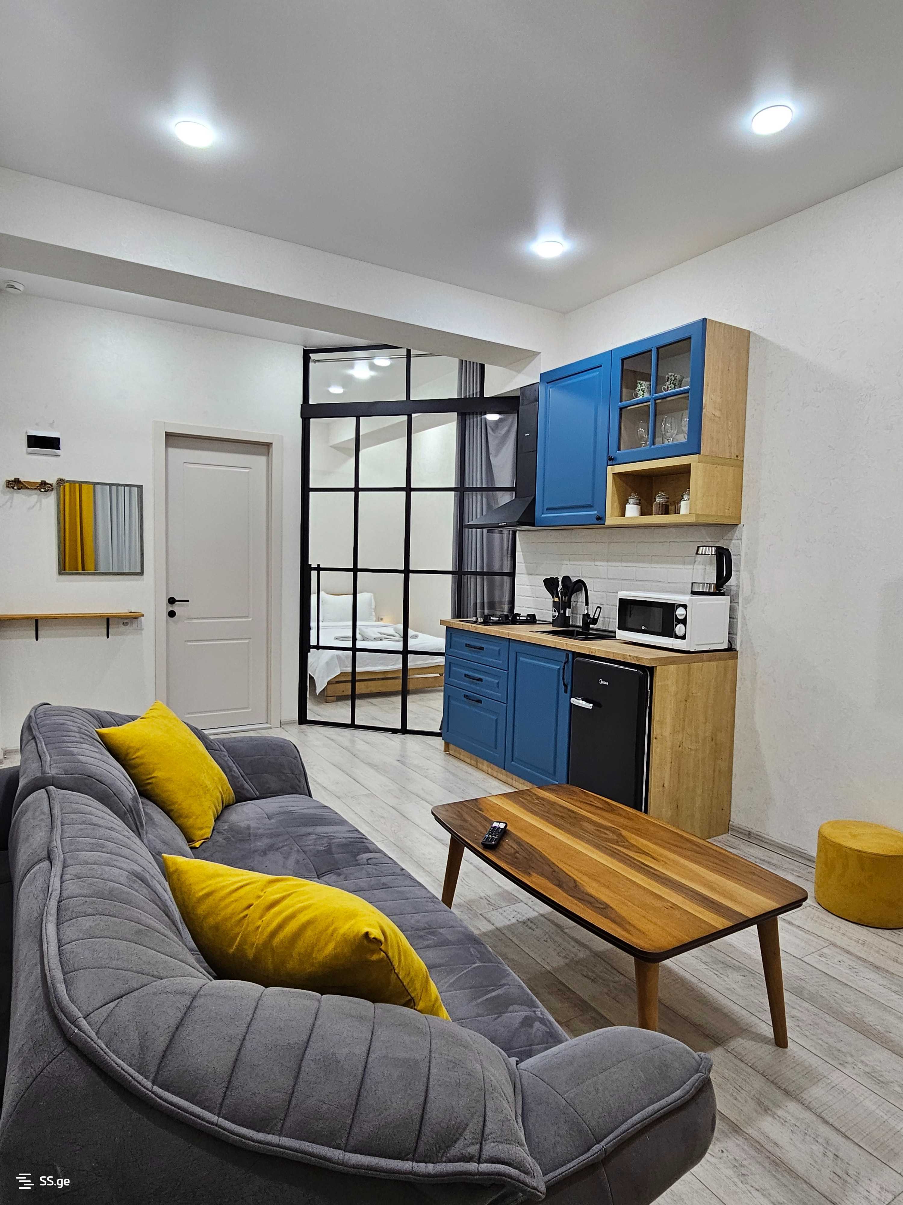 2 Room Flat Daily Rent. Vazisubani view 1
