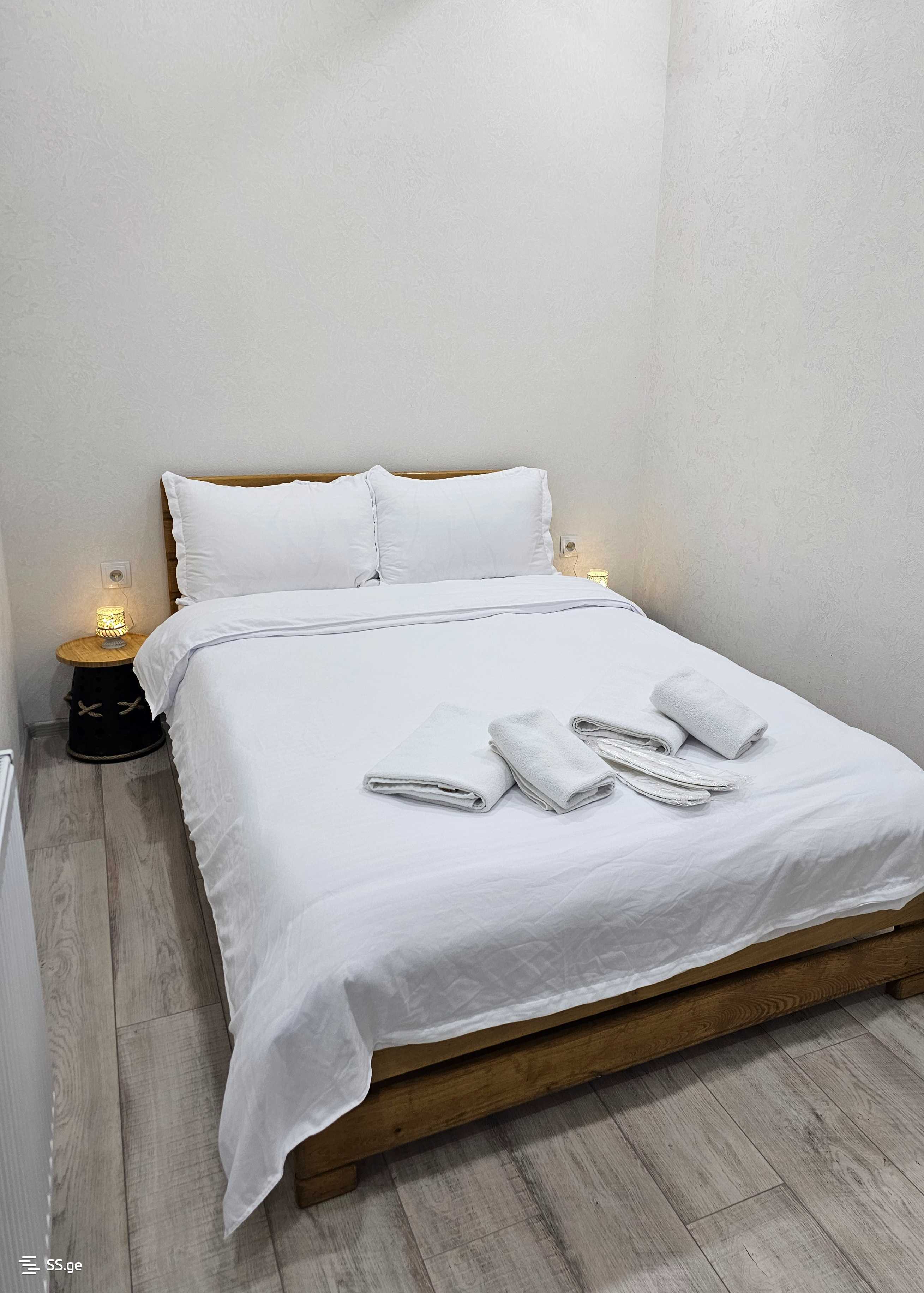 2 Room Flat Daily Rent. Vazisubani view 4