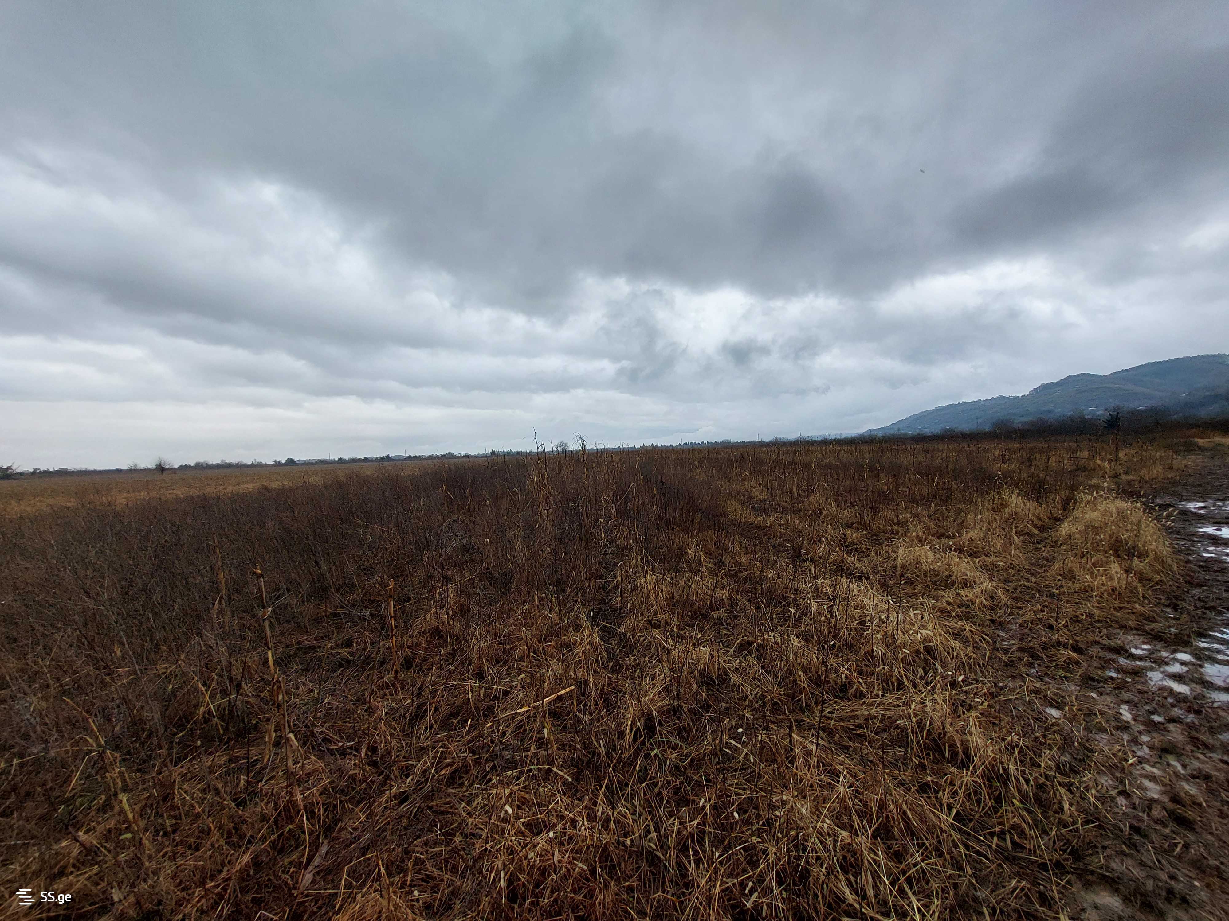 Продажа Земля в самтредиа view 3