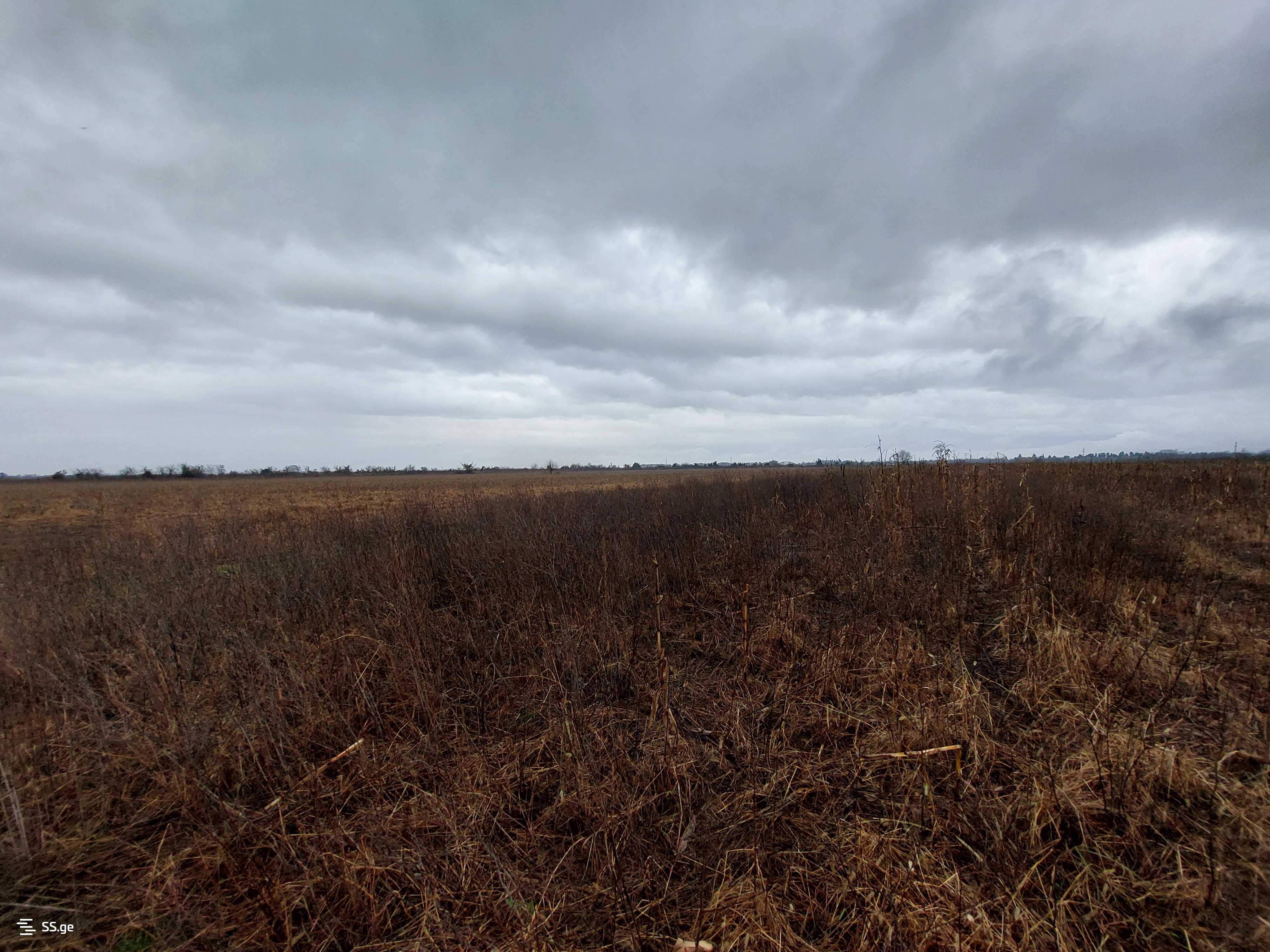 Продажа Земля в самтредиа view 1