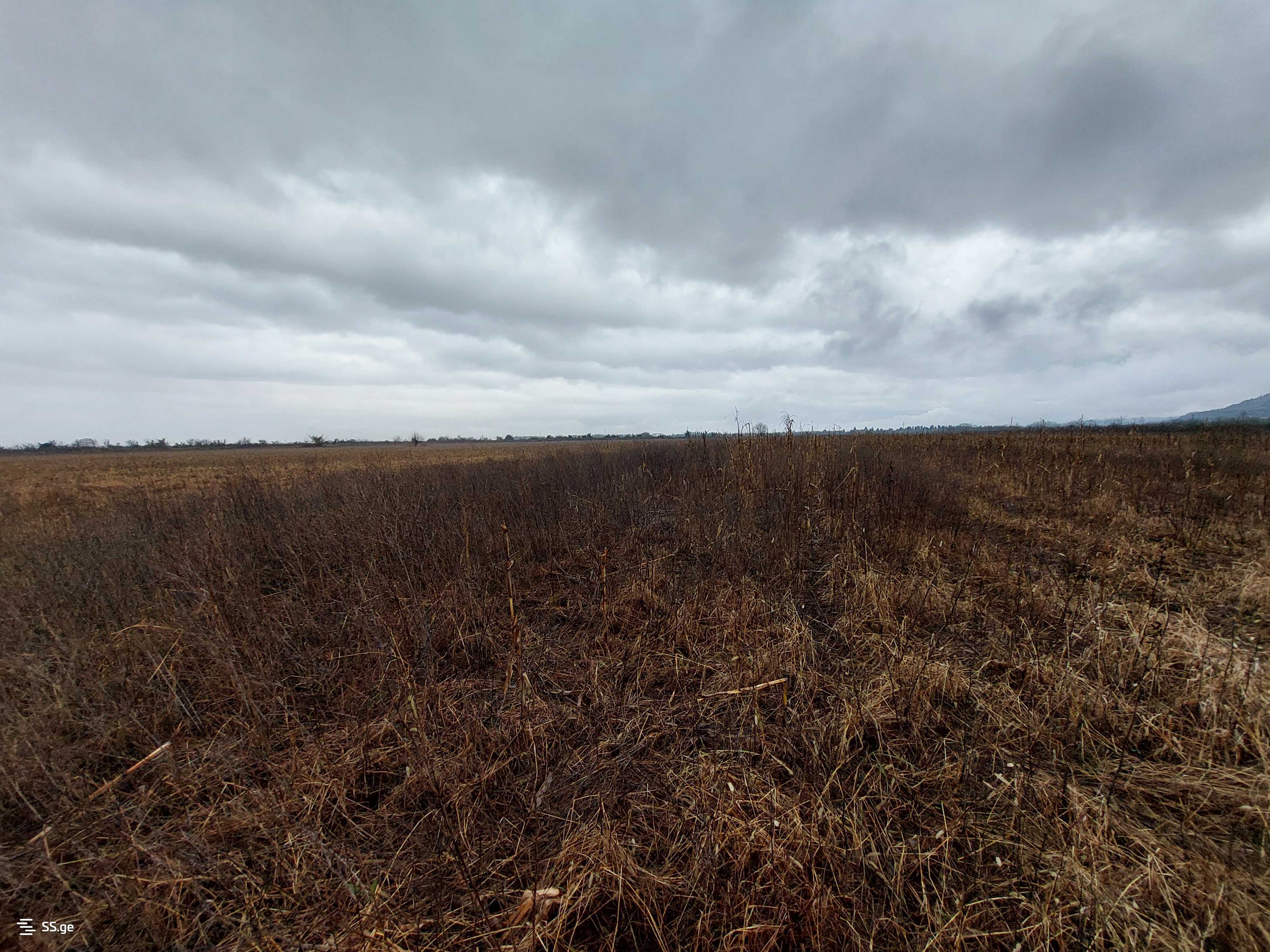 Продажа Земля в самтредиа view 2