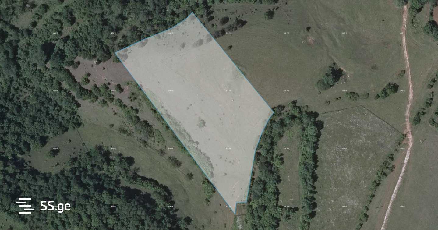 Продажа Земля / участок в Zestaponshi view 4