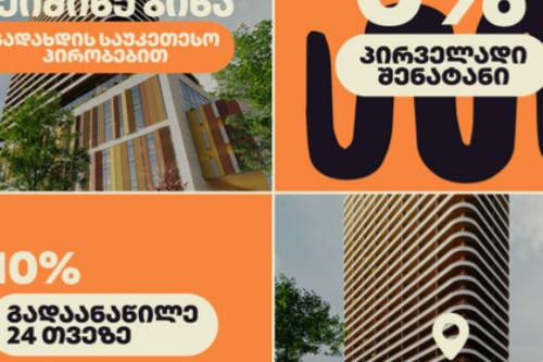 https://static.ss.ge/20240307/14_ede71424-2b0a-4ba0-8b19-229088eb0d27_Thumb.jpg