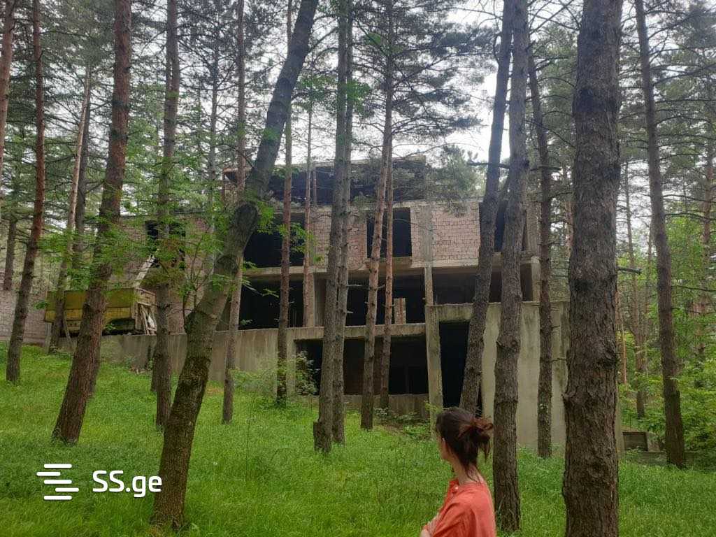 Private House For Sale. Tskneti, 1 of 4