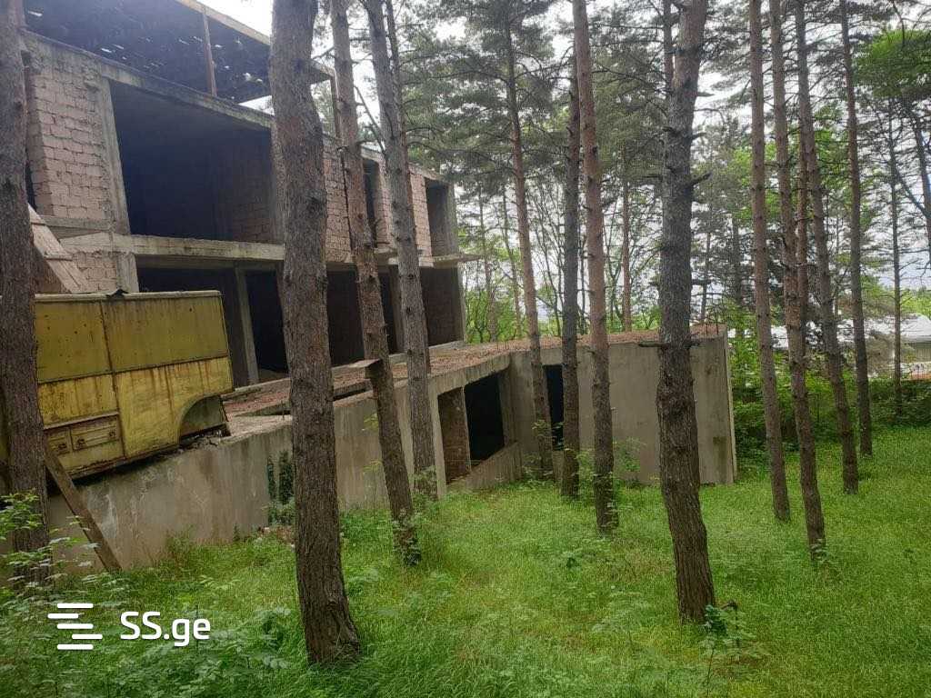 Private House For Sale. Tskneti view 7