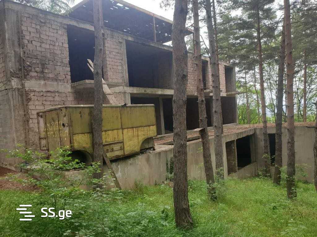 Private House For Sale. Tskneti view 3