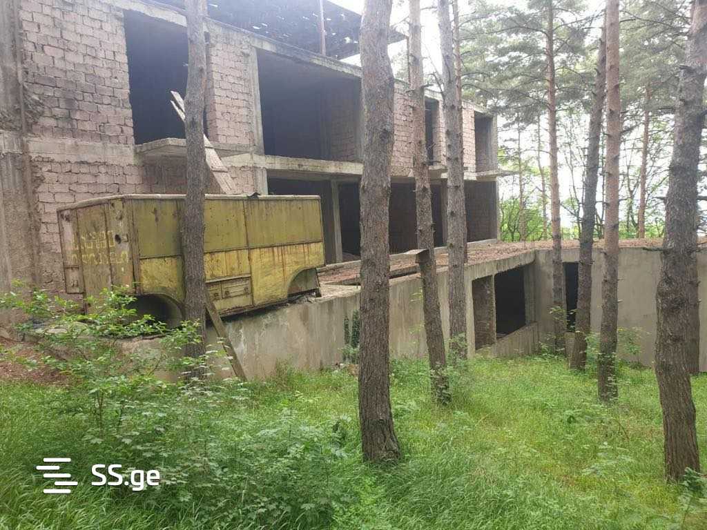 Private House For Sale. Tskneti view 2