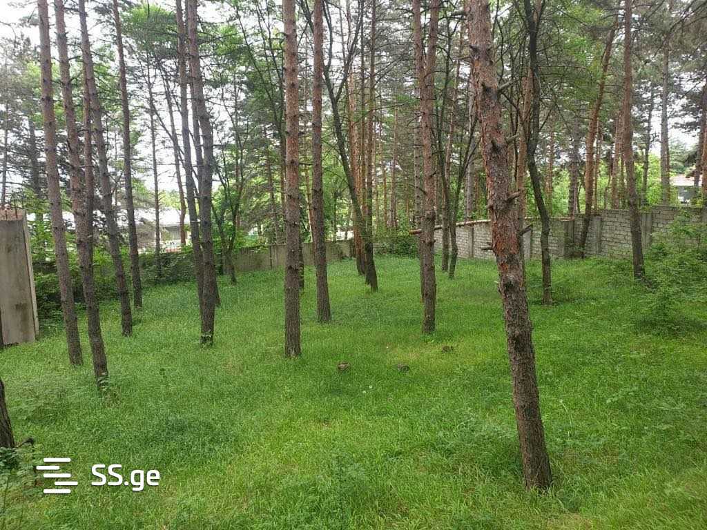 Private House For Sale. Tskneti, 2 of 4