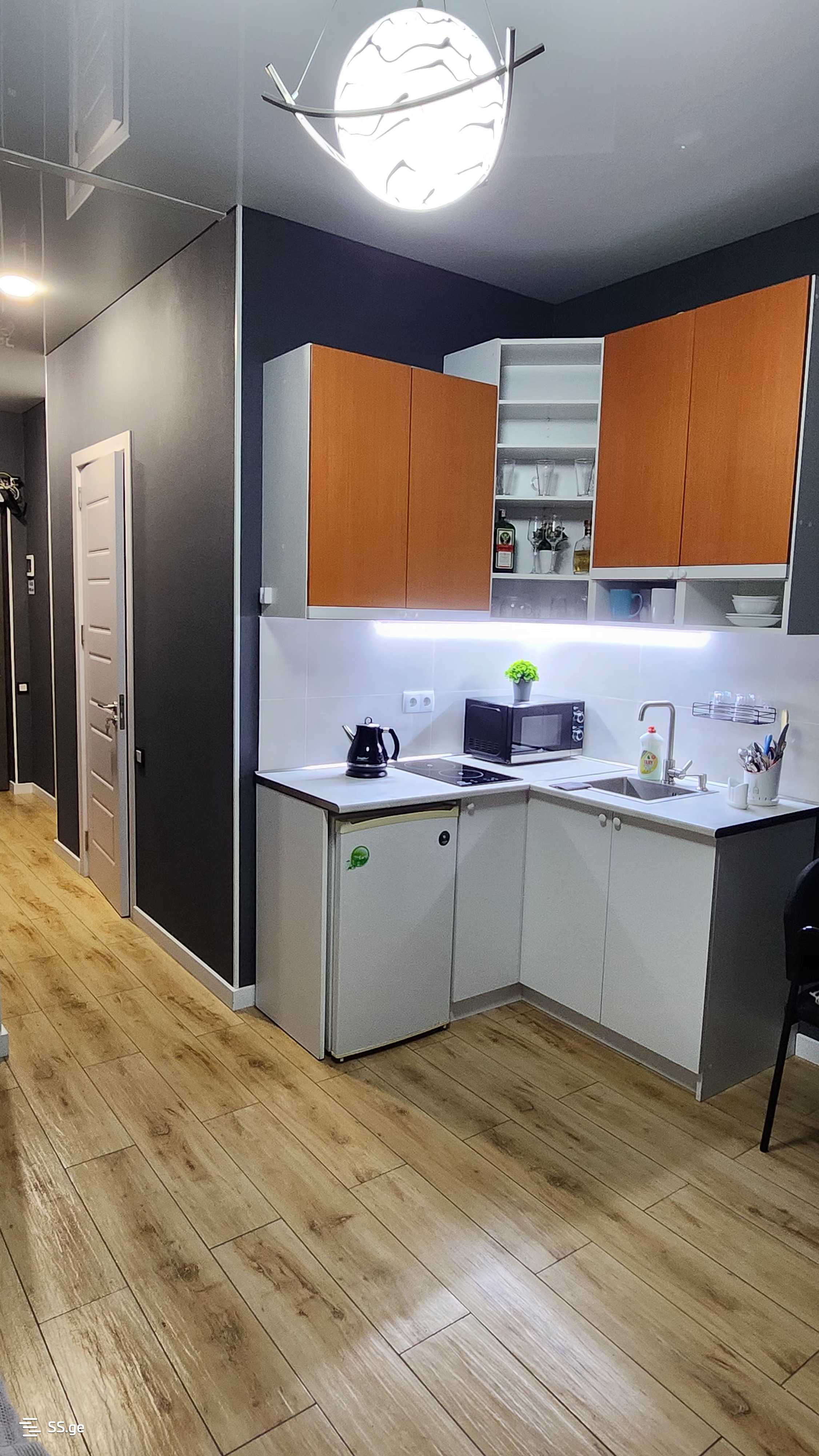 1 room Flat Daily rent. Districts of Vazha-Pshavela - Widok 5